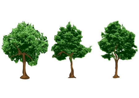 silhouettes of urban trees isolated on white のイラスト素材