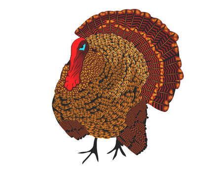 turkey isolated on white background のイラスト素材