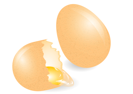 broken egg isolated on a white backgroundのイラスト素材