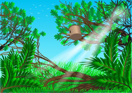 garden  summer background with trees and grassのイラスト素材