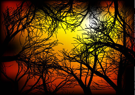 dark woods  abstract dark background  10 EPSのイラスト素材