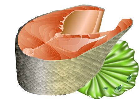 salmon on lettuce leaf isolated on whiteのイラスト素材