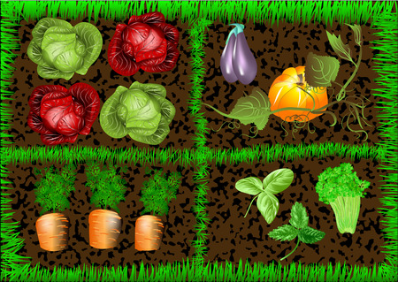 vegetable garden using mesh gradientのイラスト素材
