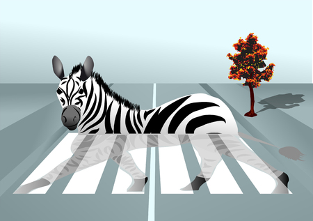 zebra in the city  abstract background with zebra crossingのイラスト素材