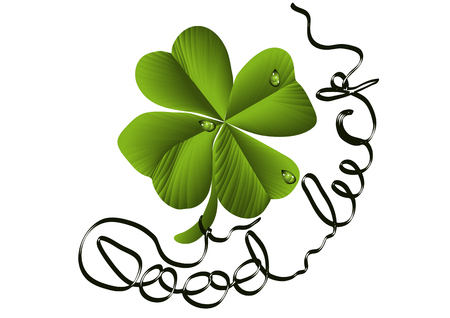 shamrock isolated on a white background  のイラスト素材