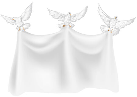 blank banner with  three dove のイラスト素材
