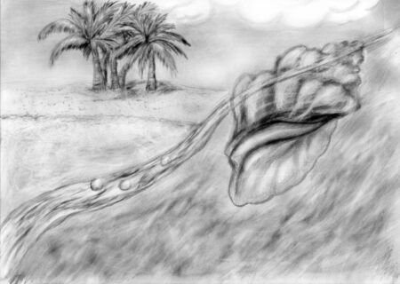 beach and shell  pencil drawing of coastlineの写真素材