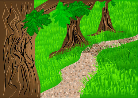 path and trees  oak on the green grassのイラスト素材