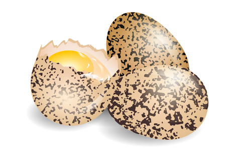 quail egg on a white background  10 EPSのイラスト素材