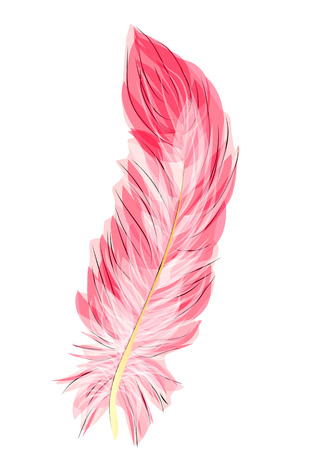 flamingo feather isolated on a white backgroundのイラスト素材