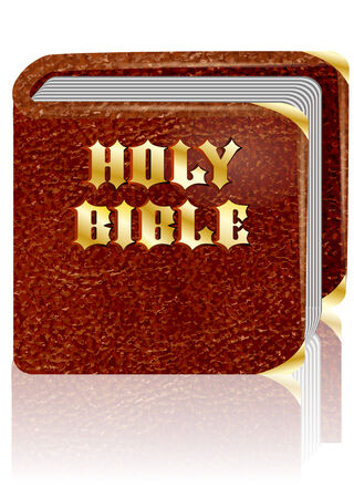 holy bible on a white background with reflectionのイラスト素材