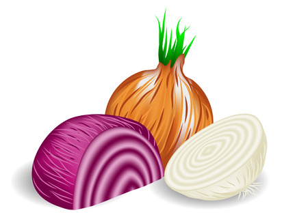 onions in three colors on white backgroundのイラスト素材