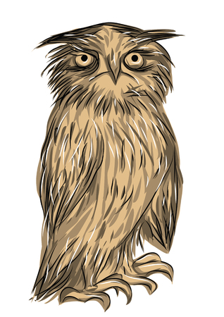 owl isolated on white backgroundのイラスト素材