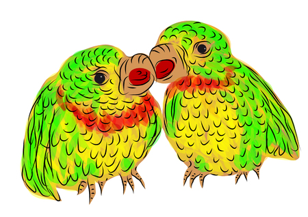 parrots  two birds isolated on white backgroundのイラスト素材