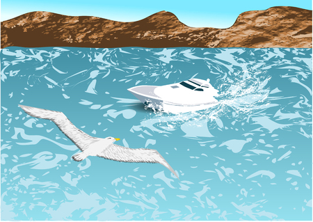 boat and albatross  white boat is racing on the seaのイラスト素材