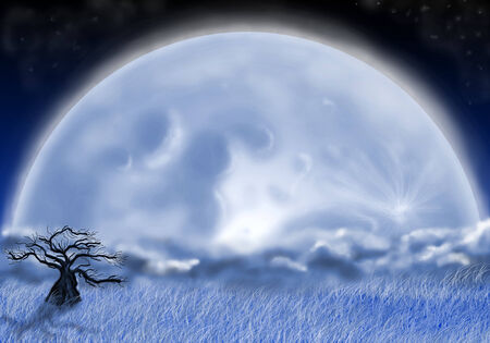 tree in the night field and moonの写真素材