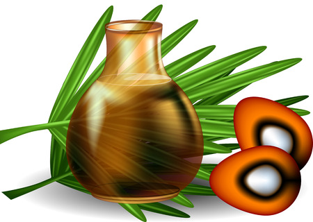 palm oil with palm leaves on white backgroundのイラスト素材