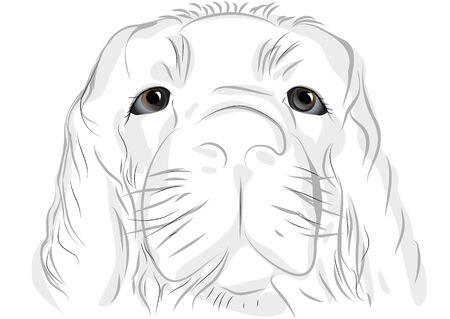 dog portrait. animal isolated on white backgroundのイラスト素材