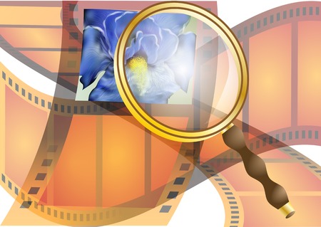 capture. abstract foto of flower on the filmのイラスト素材