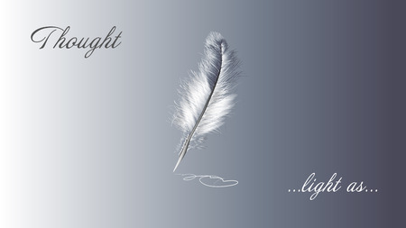 white feather and slogan on grey backgroundのイラスト素材