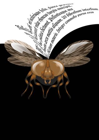 fly poster. fly on bakck background and textのイラスト素材