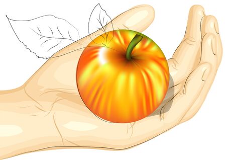 male hand and apple isolated on a white backgroundのイラスト素材