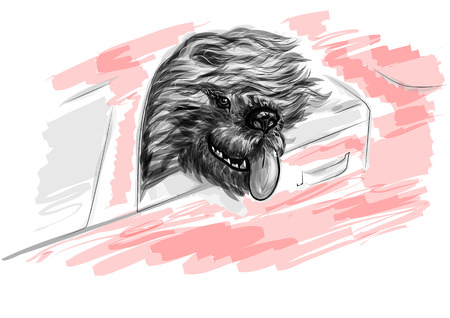 dog in red car isolated on a white backgroundのイラスト素材