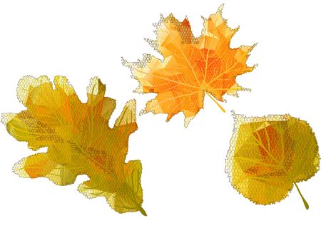 autumn abstract leaves isolated on a white backgroundのイラスト素材