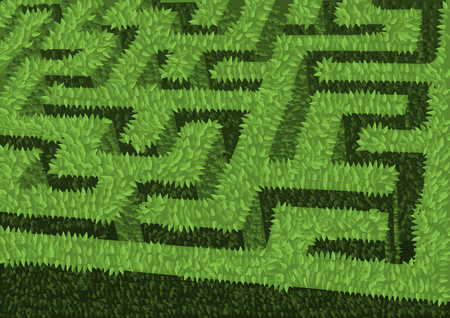green hedge flowerbed as mazeのイラスト素材
