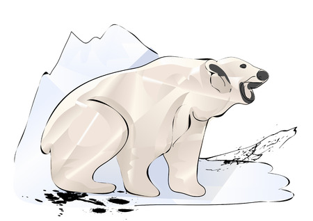 polar bear and ice isolated on a white backgroundのイラスト素材