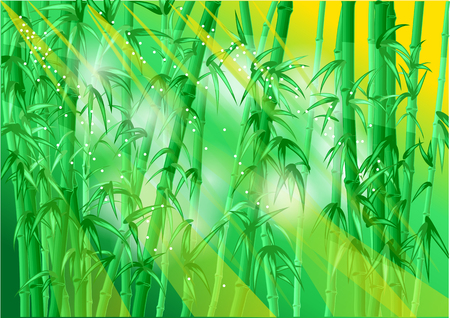bamboo forest with rays of sunのイラスト素材