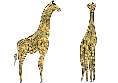 two giraffes. ethnic giraffe isolated on a white backgroundolatedのイラスト素材