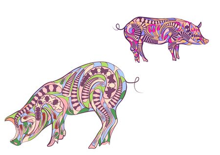 two ethnic pigs isolated on a white backgroundのイラスト素材