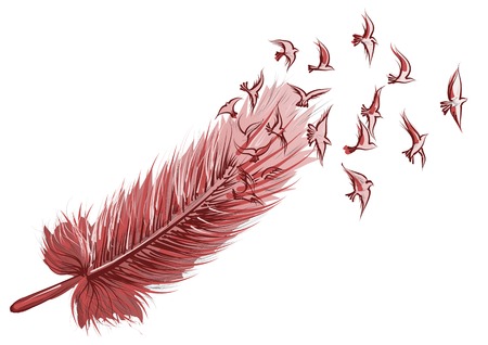 Feather and bird isolated on white backgroundのイラスト素材