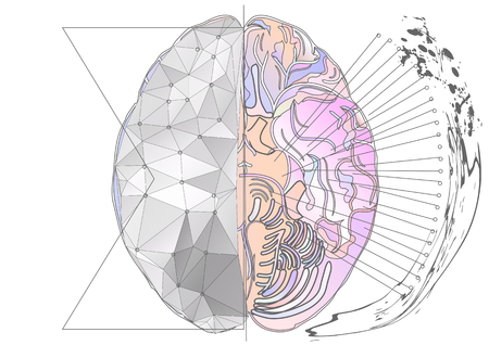 cerebral hemisphere. abstract brain with multicolor line and lightのイラスト素材