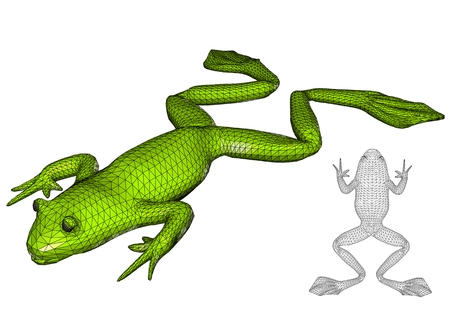 frog on white. two abstract toad isolatedのイラスト素材