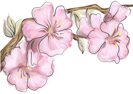 Cherry blossom illustration.のイラスト素材