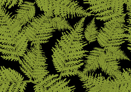 fern seamless texture on back backgroundのイラスト素材