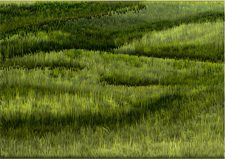 South downs absrtract vector grass backgroundのイラスト素材
