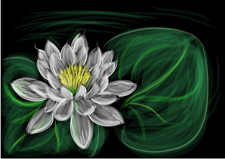 Water lily with leaf vector illustrationのイラスト素材