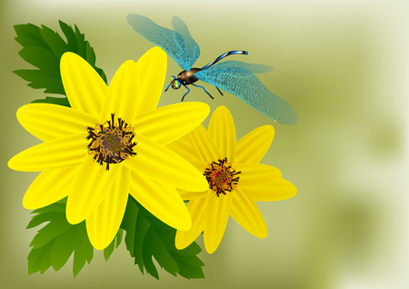 yellow flowers and dragonfly on green backgroundのイラスト素材