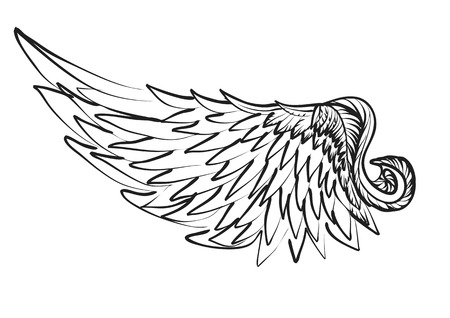 wing silhouette isolated on a white backgroundのイラスト素材