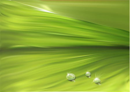 leaf surface with drops. abstract background in 10 EPSのイラスト素材