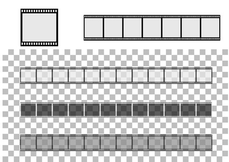 photographic on the white background and transparent backgroundのイラスト素材