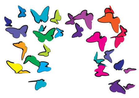 Colorful butterflies isolated on a white backgroundの写真素材