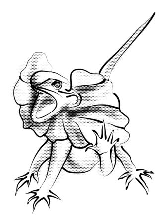 frilled lizard isolated on white backgroundのイラスト素材