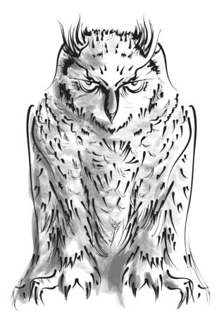 owl isolated on white background. vector illustrationのイラスト素材