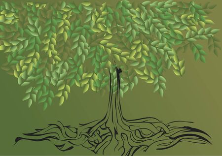 root systemof tree. abstract nature background with treeのイラスト素材