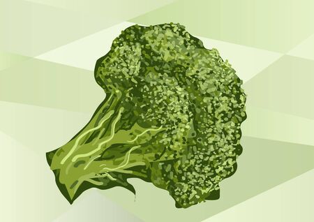 broccoli on green. broccoli abstract illustration. Healthy ecological green foodのイラスト素材
