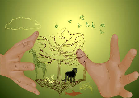 wildlife background. Vector illustration of Africa landscape with wildlife and sunset backgroundのイラスト素材